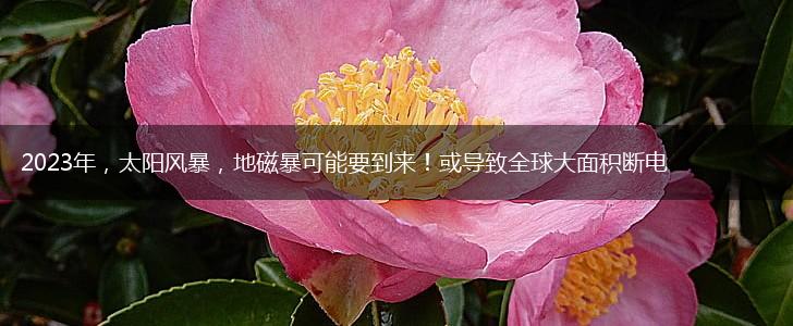 2023年，太阳风暴，地磁暴可能要到来！或导致全球大面积断电,第1张