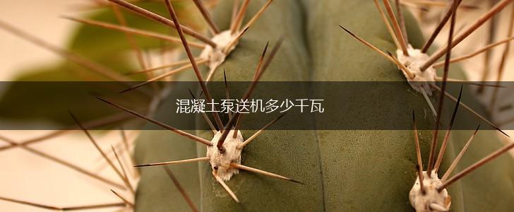 混凝土泵送机多少千瓦,第1张