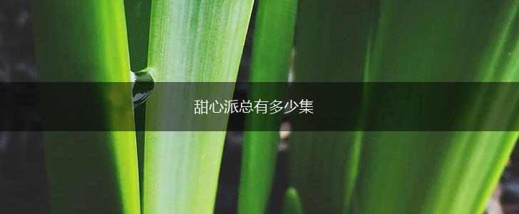 甜心派总有多少集,第1张
