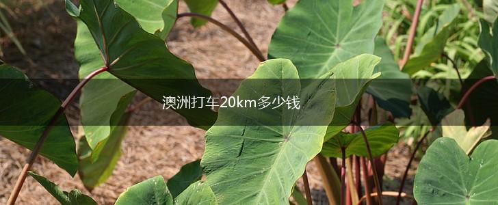 澳洲打车20km多少钱,第1张