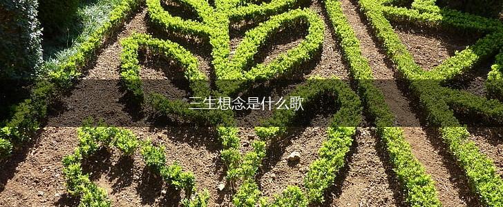 三生想念是什么歌,第1张