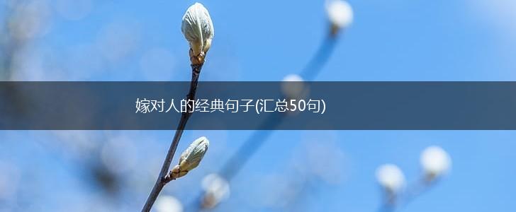 嫁对人的经典句子(汇总50句),第1张