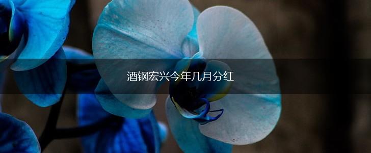 酒钢宏兴今年几月分红,第1张