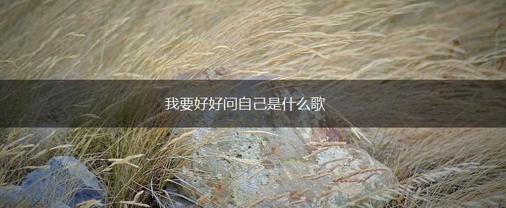 我要好好问自己是什么歌,第1张