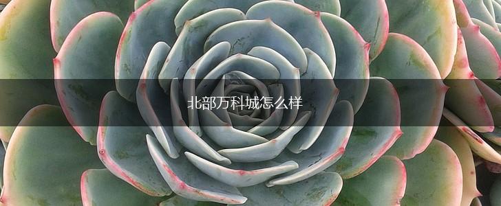 北部万科城怎么样,第1张