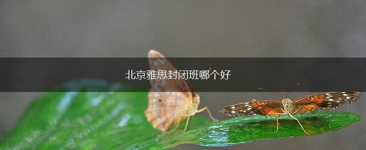 北京雅思封闭班哪个好,第1张