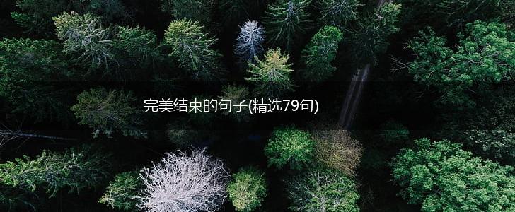 完美结束的句子(精选79句),第1张