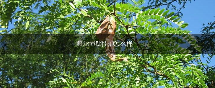 希尔博壁挂炉怎么样,第1张