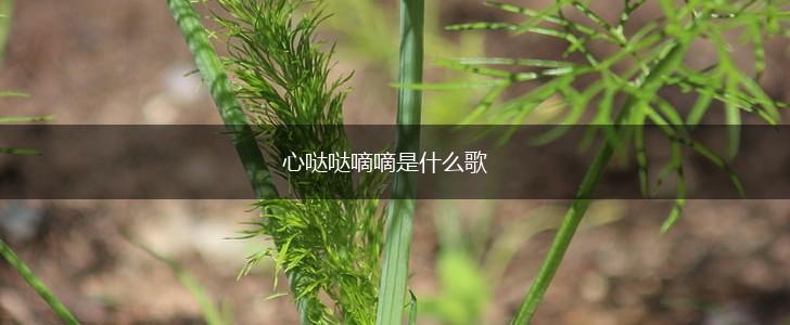 心哒哒嘀嘀是什么歌,第1张