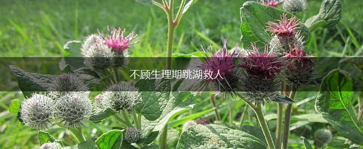 不顾生理期跳湖救人,第1张