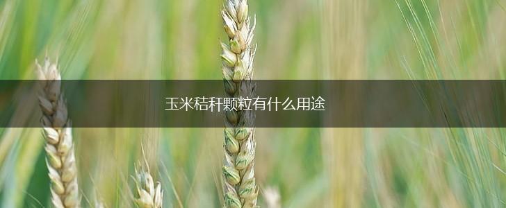 玉米秸秆颗粒有什么用途,第1张