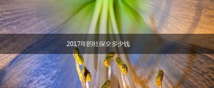 2017年的社保交多少钱,第1张