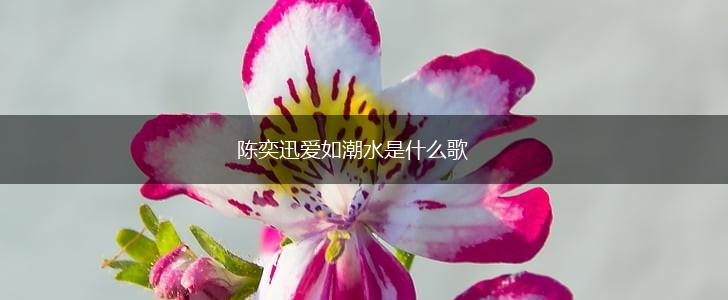 陈奕迅爱如潮水是什么歌,第1张