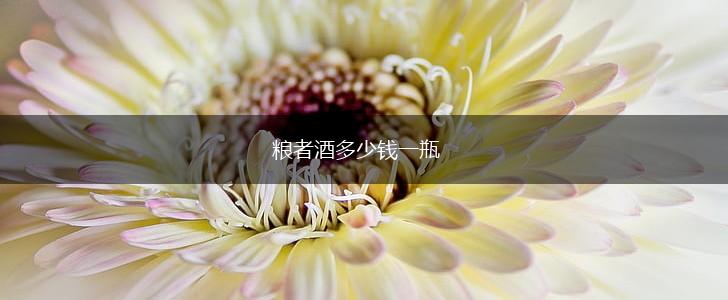 粮者酒多少钱一瓶,第1张