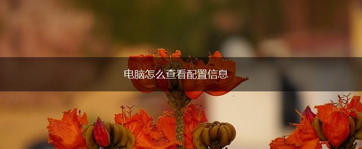 电脑怎么查看配置信息,第1张