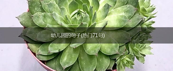 幼儿园的句子(热门71句),第1张