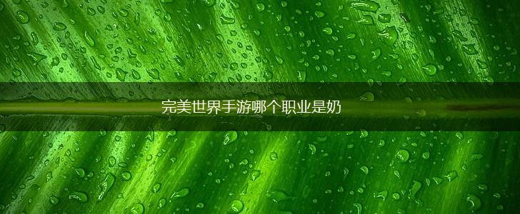 完美世界手游哪个职业是奶,第1张