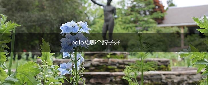 polo裙哪个牌子好,第1张