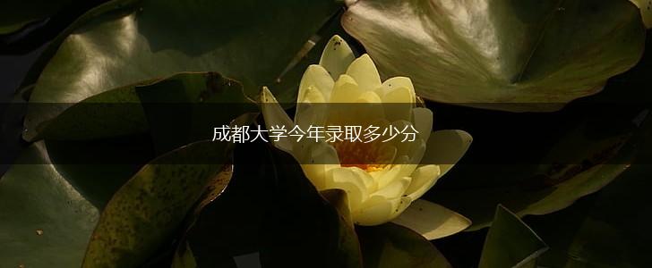 成都大学今年录取多少分,第1张