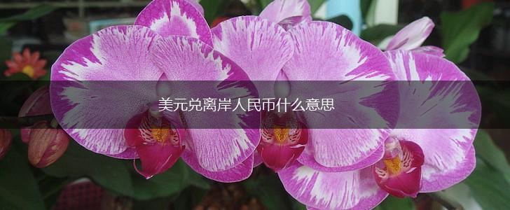 美元兑离岸人民币什么意思,第1张
