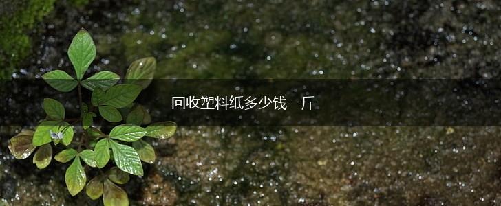 回收塑料纸多少钱一斤,第1张