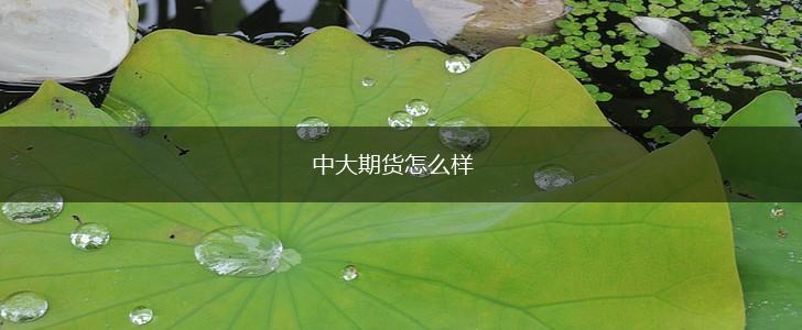 中大期货怎么样,第1张