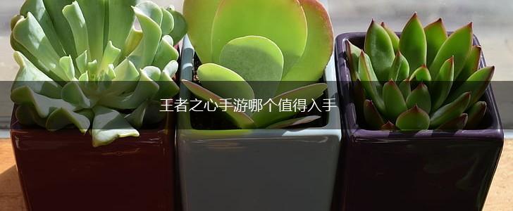王者之心手游哪个值得入手,第1张