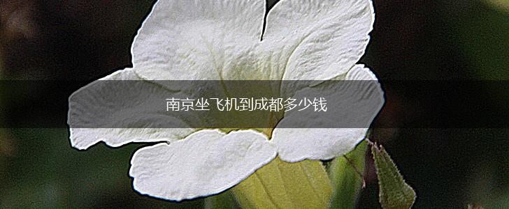 南京坐飞机到成都多少钱,第1张