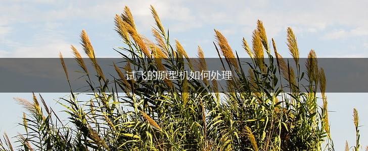 试飞的原型机如何处理,第1张