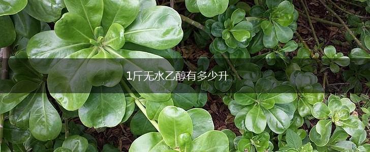 1斤无水乙醇有多少升,第1张