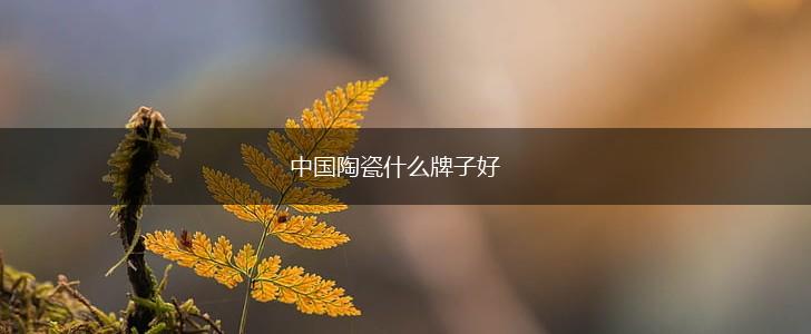 中国陶瓷什么牌子好,第1张