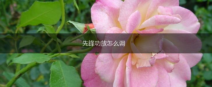 先锋功放怎么调,第1张