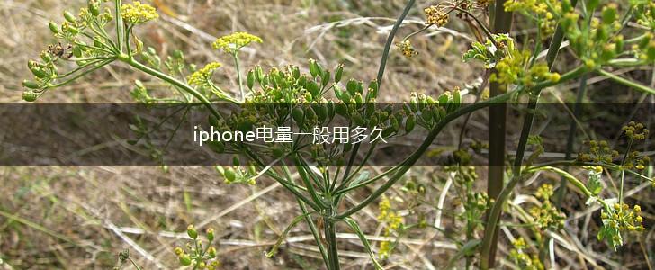 iphone电量一般用多久,第1张