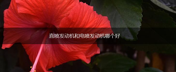 直喷发动机和电喷发动机哪个好,第1张