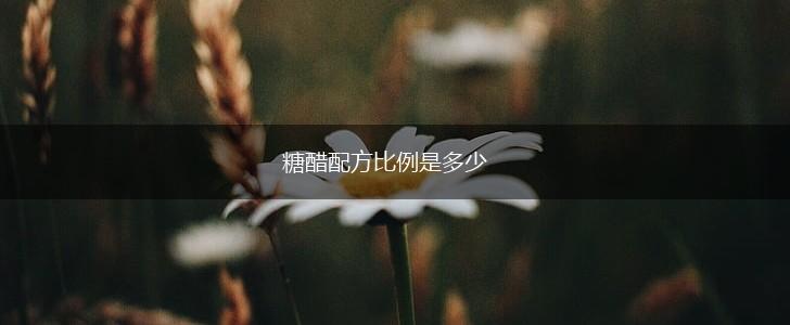 糖醋配方比例是多少,第1张