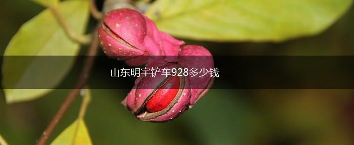 山东明宇铲车928多少钱,第1张
