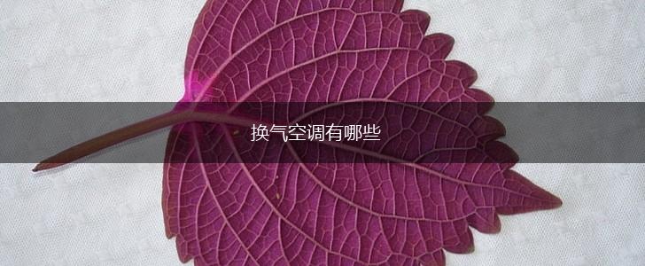 换气空调有哪些,第1张