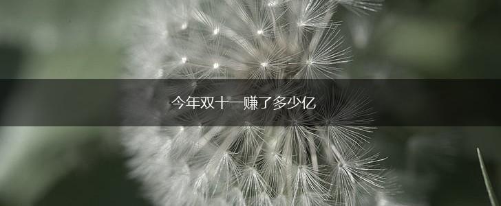 今年双十一赚了多少亿,第1张