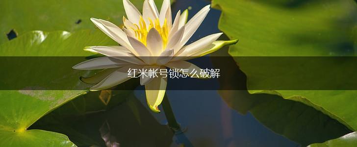 红米帐号锁怎么破解,第1张