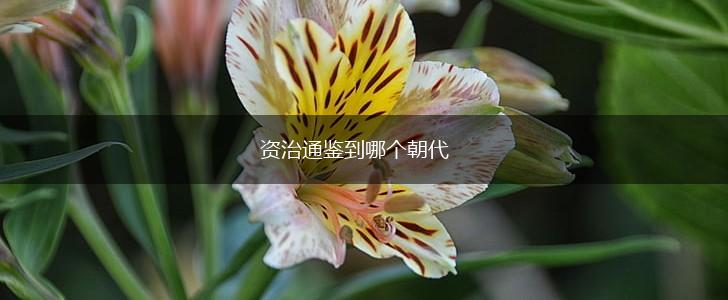 资治通鉴到哪个朝代,第1张