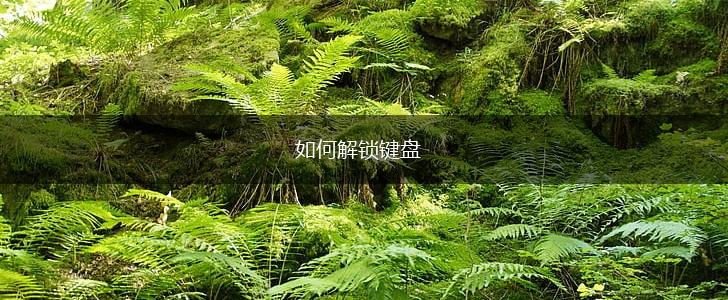 如何解锁键盘,第1张