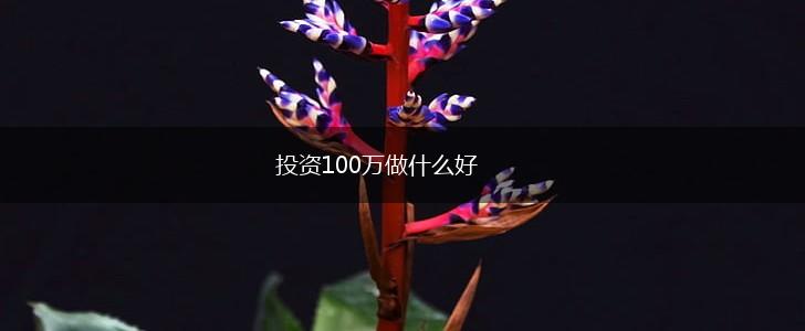 投资100万做什么好,第1张
