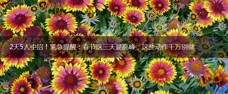 2天5人中招！紧急提醒：春节这三天是高峰，这些动作千万别做,第1张
