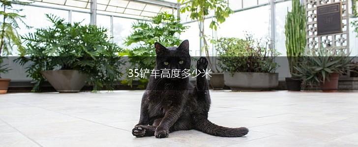 35铲车高度多少米,第1张