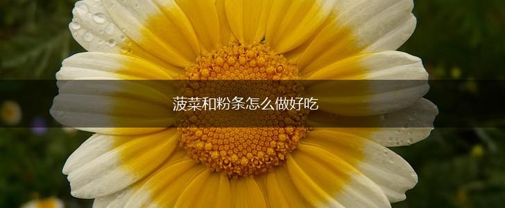菠菜和粉条怎么做好吃,第1张