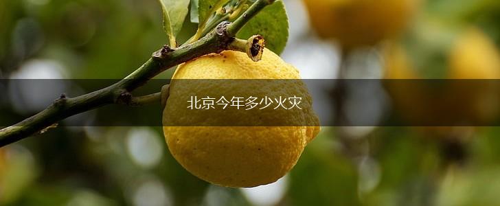 北京今年多少火灾,第1张