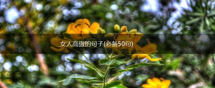 女人高傲的句子(必备50句),第1张