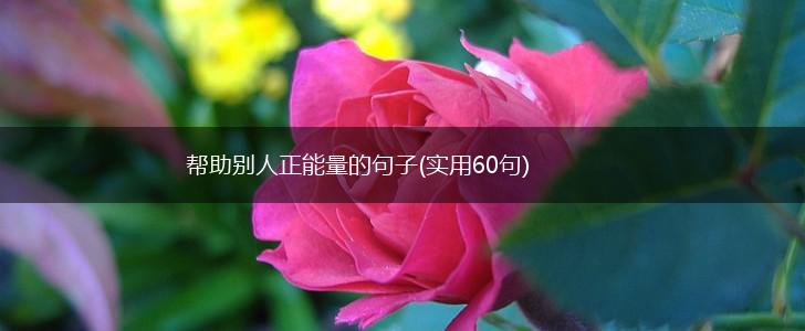 帮助别人正能量的句子(实用60句),第1张