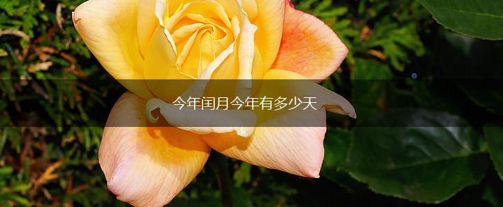 今年闰月今年有多少天,第1张