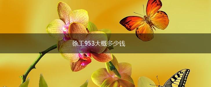 徐工953大概多少钱,第1张